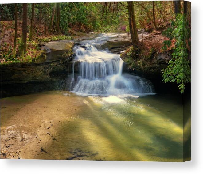 Waterfall Canvas Print featuring the photograph Creation Falls at Red River Gorge Geological Area in Kentucky by Peter Herman