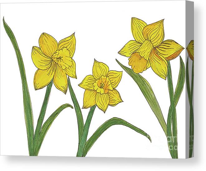 Daffodils Canvas Print featuring the mixed media Daffodils by Lisa Neuman