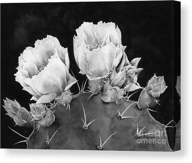 Cactus Canvas Print featuring the painting Desert Bloom 2 in black and white by Hailey E Herrera