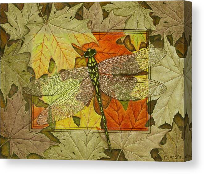 Kim Mcclinton Canvas Print featuring the drawing Dragonfly Fall by Kim McClinton