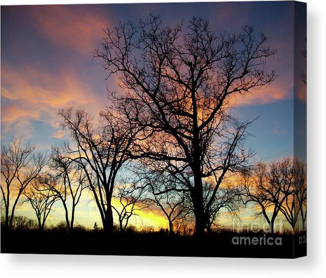 Canada Canvas Print featuring the photograph Dramatic Sky by Mary Mikawoz