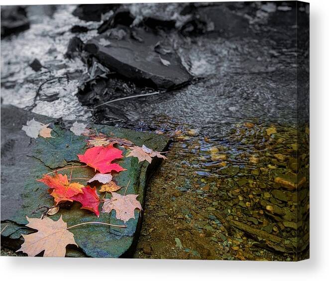  Canvas Print featuring the photograph Fall Leaves by Brad Nellis