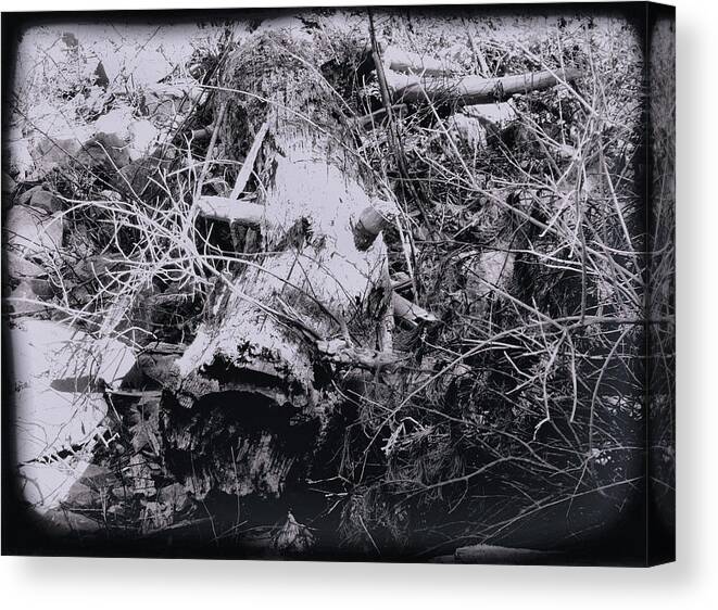 Tree Canvas Print featuring the photograph Fallen Tree by Christopher Reed
