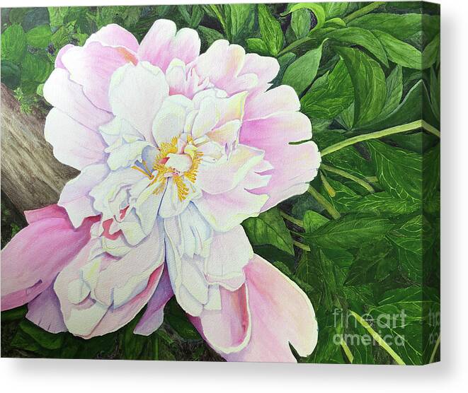 Blossom Canvas Print featuring the painting Farmyard Beauty by Bonnie Young