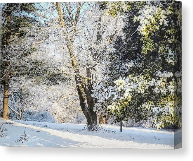 Winter Canvas Print featuring the photograph February Chill by Susan Hope Finley