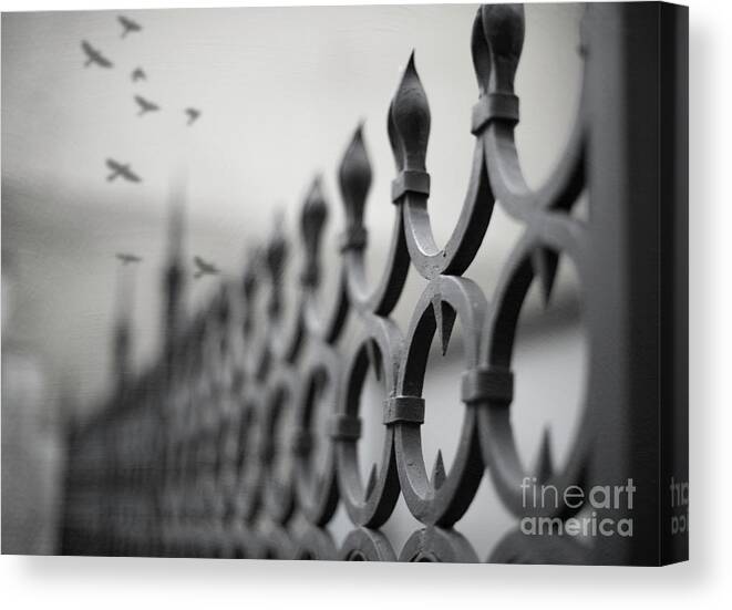 Architecture Canvas Print featuring the photograph Fence by Juli Scalzi