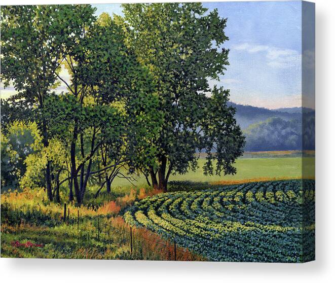 Oil Painting Canvas Print featuring the painting First Light Late Summer Beans by Bruce Morrison