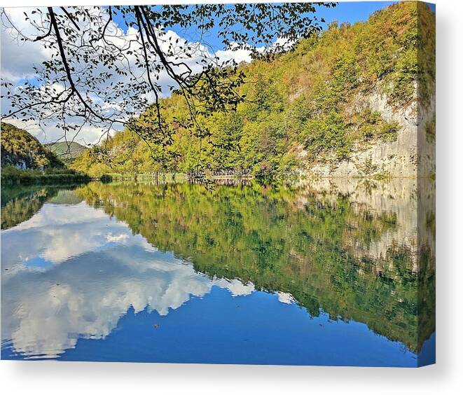 Plitvice Lakes Canvas Print featuring the photograph Floating forest by Yvonne Jasinski