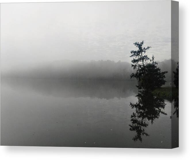  Canvas Print featuring the photograph Foggy Morning Tree by Brad Nellis