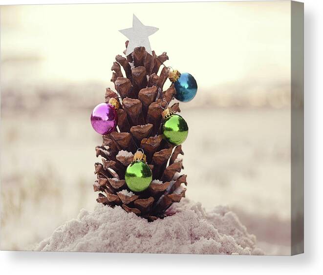 Christmas Canvas Print featuring the photograph For All Creatures Great And Small by Laura Fasulo