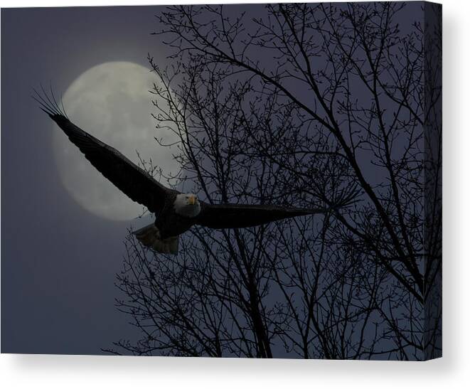 Full Canvas Print featuring the photograph Full Moon Eagle by Wade Aiken