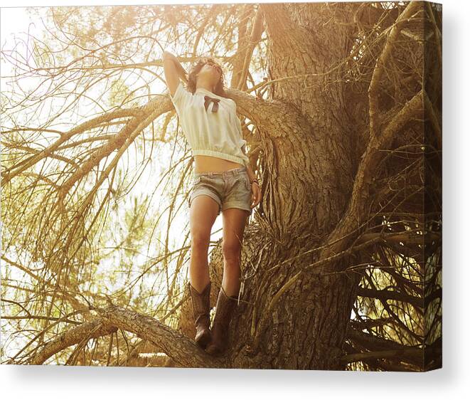 Tranquility Canvas Print featuring the photograph Girl in a tree by Devon Strong