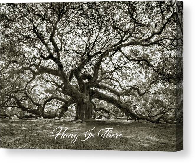 Hang In There Canvas Print featuring the photograph Hang in There by Norma Brandsberg