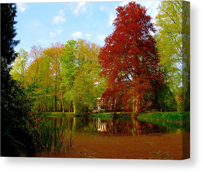 Hawthorn Canvas Print featuring the photograph Hawthorn pond by Luc Van de Steeg