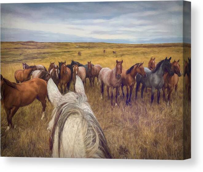 Horses Canvas Print featuring the photograph Herd of Horses Near Ardmore South Dakota by Rebecca Herranen