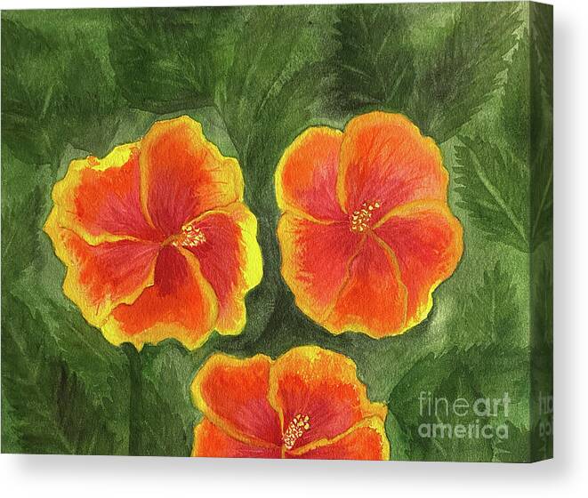 Hibiscus Canvas Print featuring the painting Hibiscus Three by Lisa Neuman