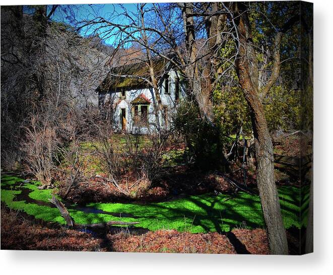 In Focus Canvas Print featuring the digital art Homesteads Rock Creek. by Fred Loring