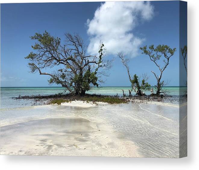 Key West Florida Waters Canvas Print featuring the photograph Key West Waters by Ashley Turner