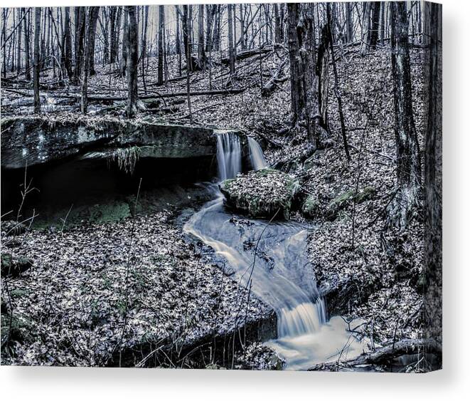  Canvas Print featuring the photograph Liberty Park in the Fall by Brad Nellis