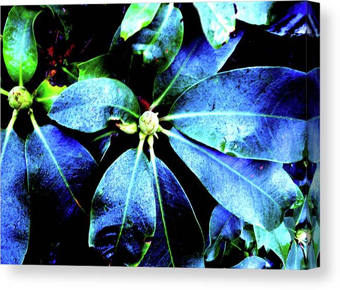 Abstract Canvas Print featuring the photograph Life Revisited by Chriss Pagani
