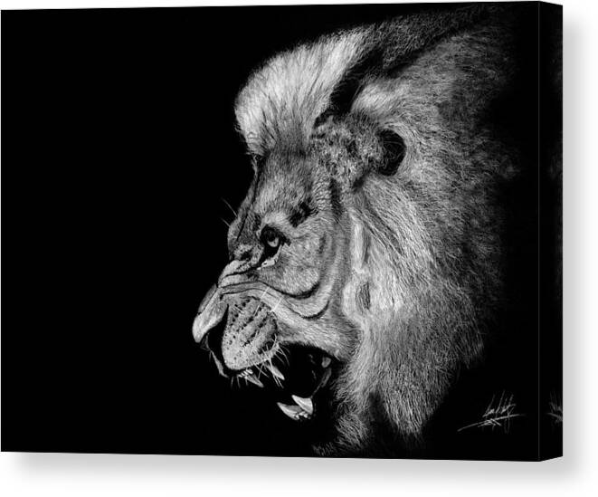 Lion Canvas Print featuring the drawing Lion's Fury by James Schultz