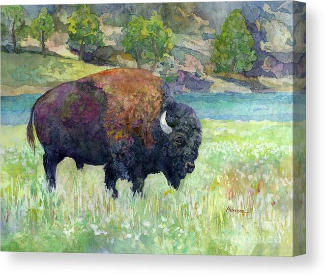 Bison Canvas Print featuring the painting Lone Bison 2 by Hailey E Herrera