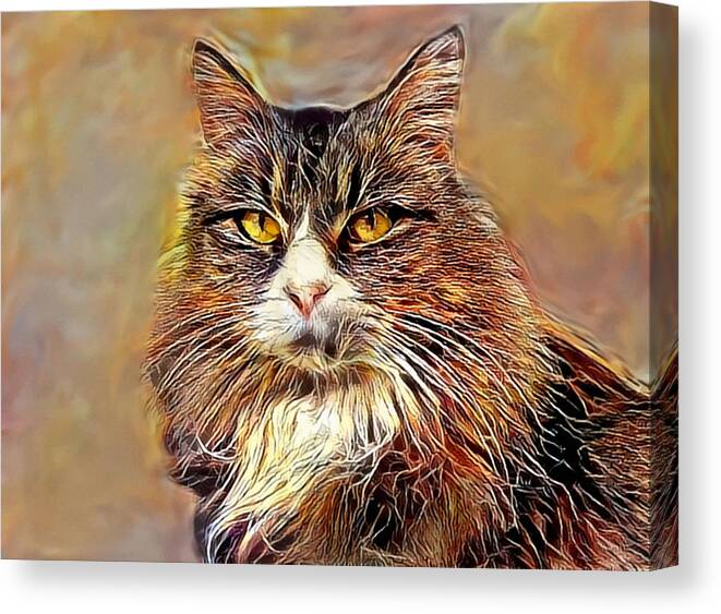 Maine Coon Cat Canvas Print featuring the photograph Maine Coon Cat Portrait by Sandi OReilly