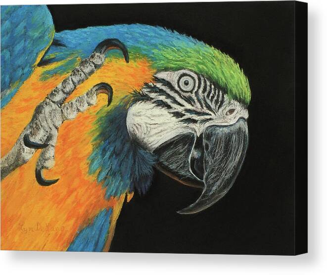 Macaw Canvas Print featuring the pastel Max the Macaw #1 by Lyn DeLano