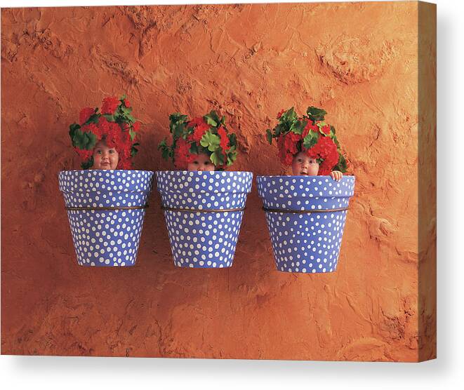 Color Canvas Print featuring the photograph Mediterranean Pots by Anne Geddes