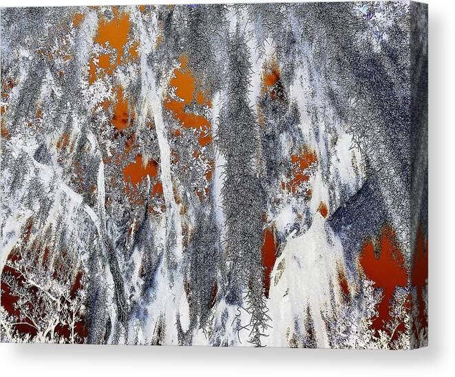 Abstract Canvas Print featuring the digital art Moonlit Moss by John Hintz