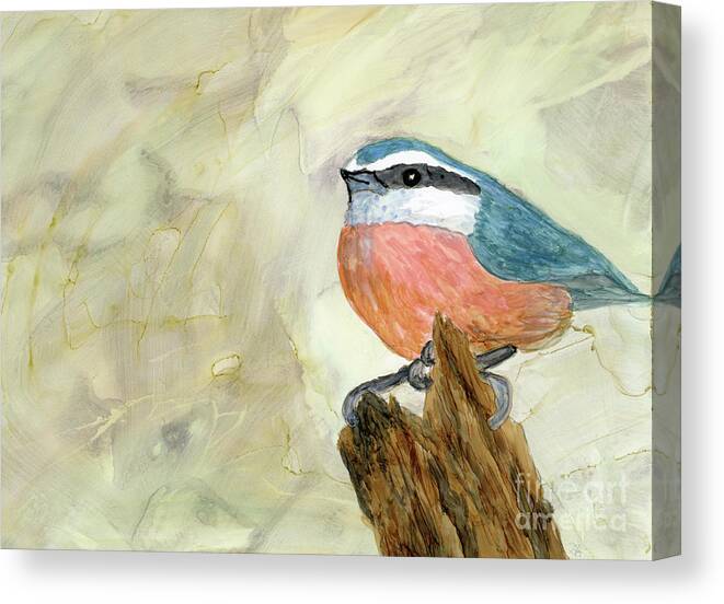 Nuthatch Canvas Print featuring the painting Nuthatch by Julie Greene-Graham