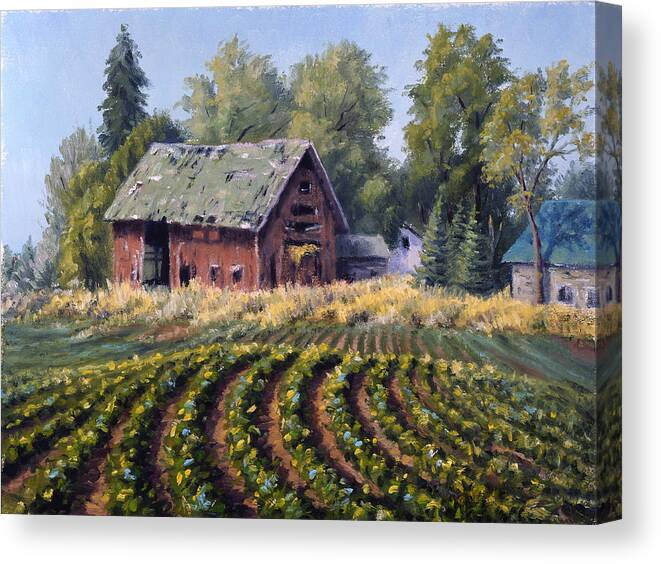 Farm Canvas Print featuring the painting Old Farmstead by Rick Hansen