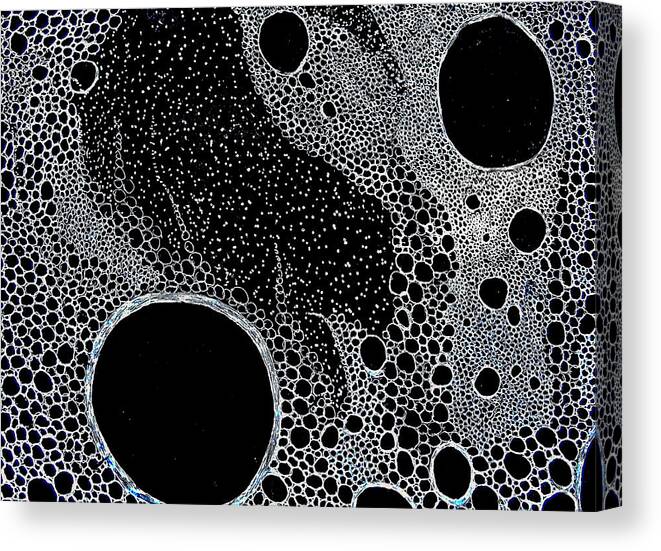  Canvas Print featuring the drawing On The Moon Two by Melinda Firestone-White