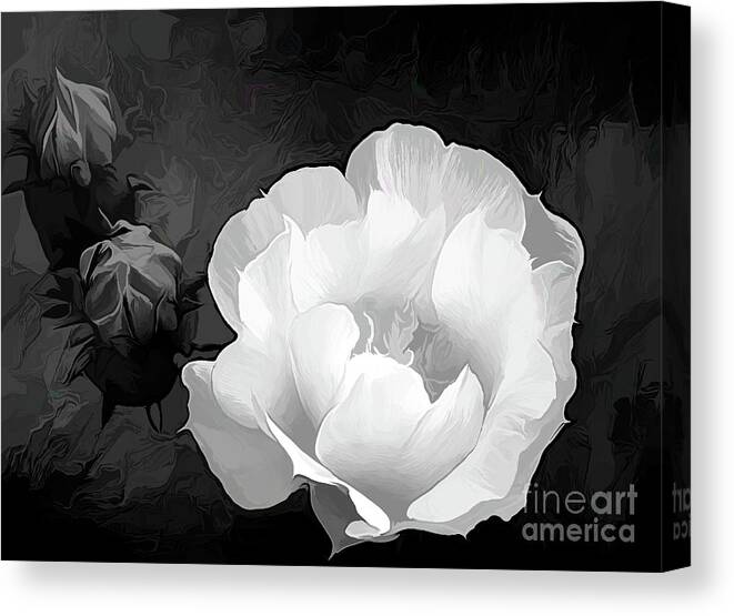 Prickly Pear Canvas Print featuring the photograph Opuntia Flower in Acrylic BW by Diana Mary Sharpton
