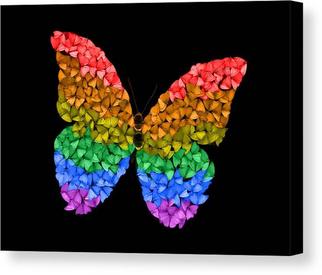  Canvas Print featuring the digital art Rainbow Butterfly by Scott Fulton