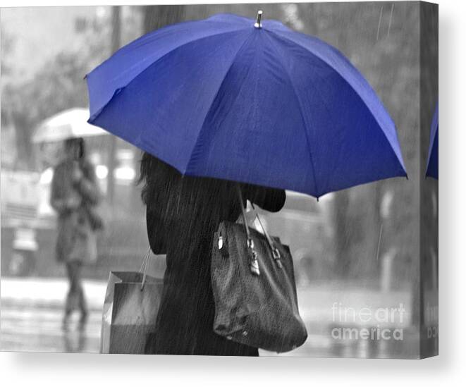 Rain Canvas Print featuring the photograph Rainy Blue by Dan Holm