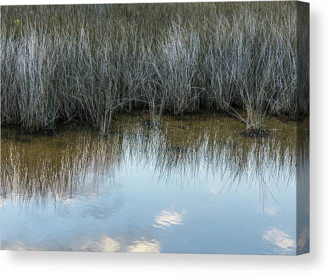 Florida Canvas Print featuring the photograph Reflections by Maresa Pryor-Luzier