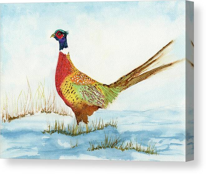 Bird Canvas Print featuring the painting Ring-Neck Pheasant in the Snow watercolor by Deborah League