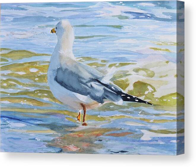 Seagull Canvas Print featuring the painting Seagull Wading by Patty Kay Hall