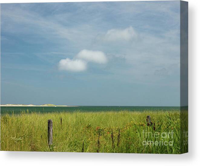 Serene Summer Day Canvas Print featuring the photograph Serene Summer Day by Michelle Constantine