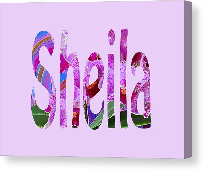 Sheila Canvas Print featuring the mixed media Sheila by Corinne Carroll