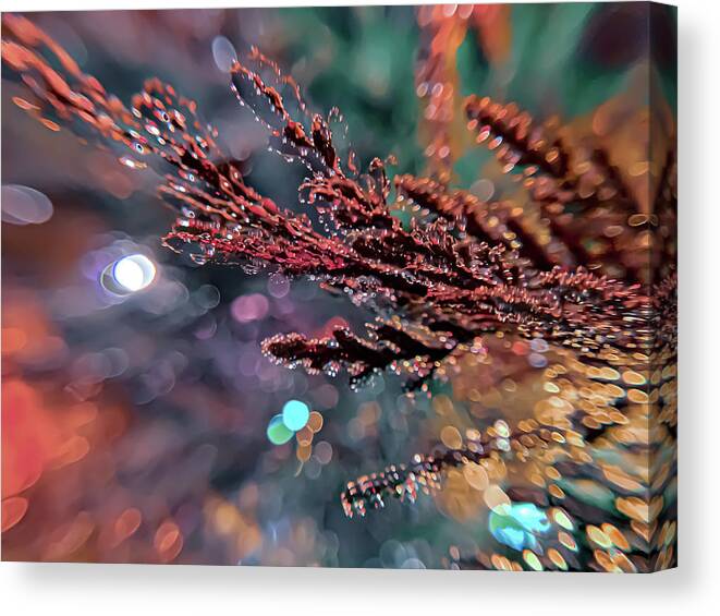Outdoor Photography Canvas Print featuring the photograph Shine by Terry Walsh