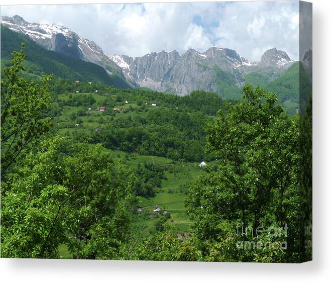 Springtime Canvas Print featuring the photograph Springtime in the Mountains of Montenegro by Phil Banks