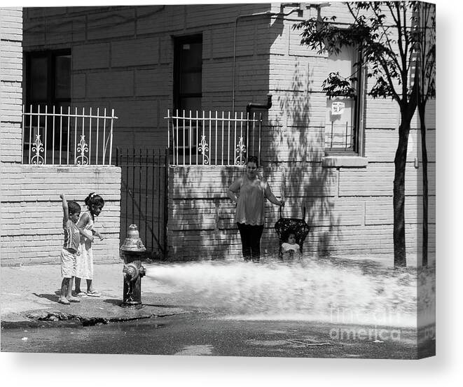 2016 Canvas Print featuring the photograph Summer Fun by Cole Thompson