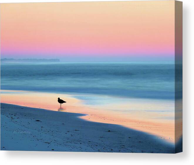Beach Canvas Print featuring the photograph The Day Begins by JC Findley