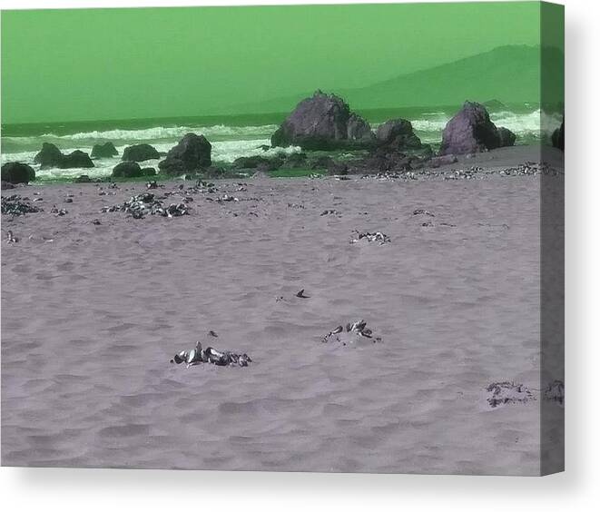 Coast Canvas Print featuring the photograph The green sky at the coast by Steven Wills