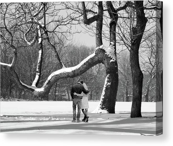 Love Canvas Print featuring the photograph The Love Trees by Carol Neal-Chicago