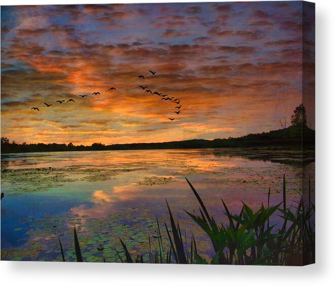  Canvas Print featuring the photograph The Marsh at Spring Valley by Jack Wilson