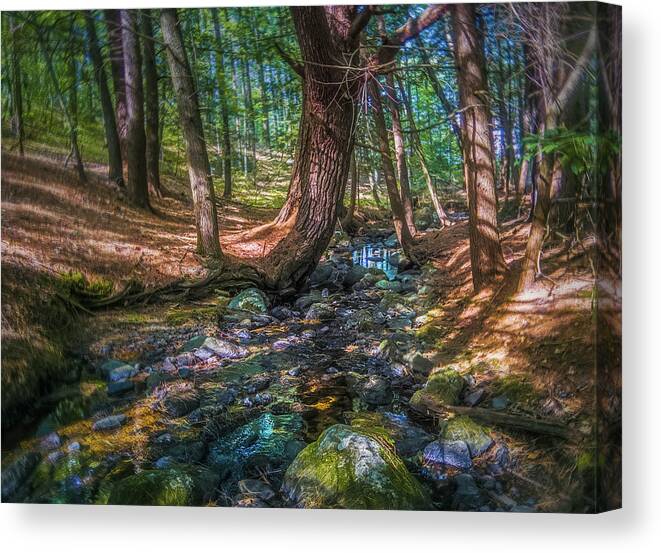 Woods Canvas Print featuring the photograph The Parrish Woods by Jerry LoFaro
