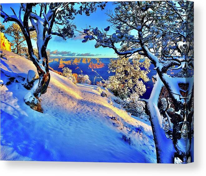 Landscape Canvas Print featuring the photograph The Path To Glory by Kevyn Bashore